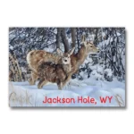 Deer - winter