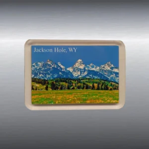 tetons summer small mock magnet